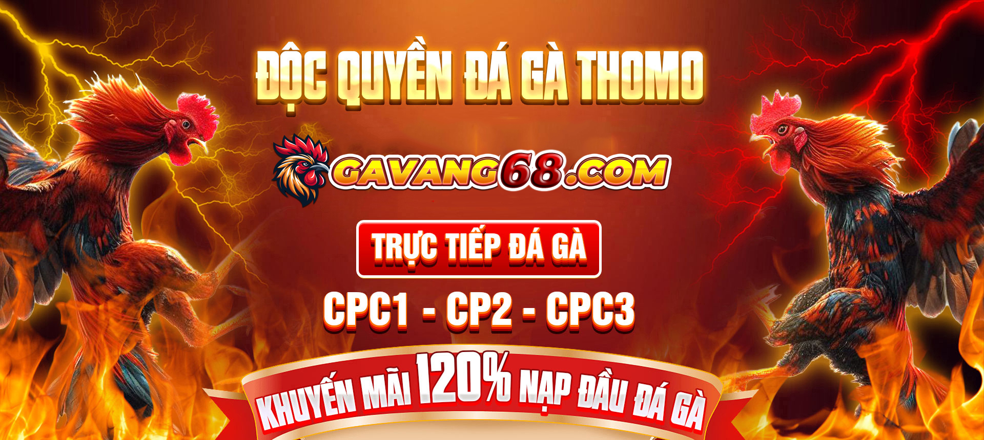 banner gavang68